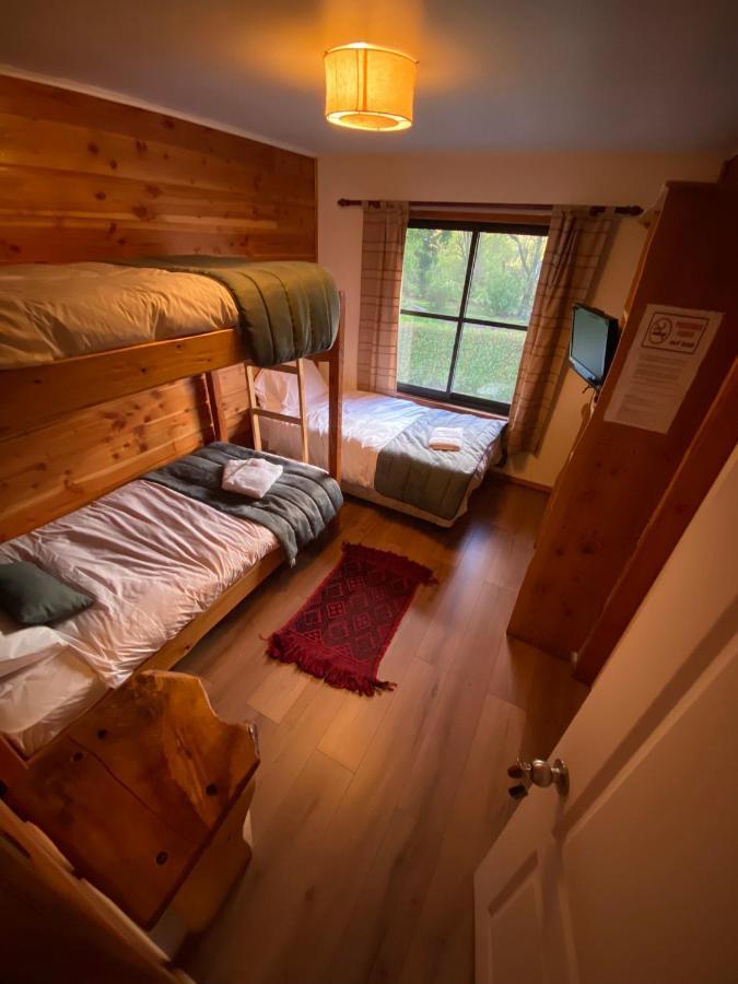 Hotel Andes 푸콘 외부 사진